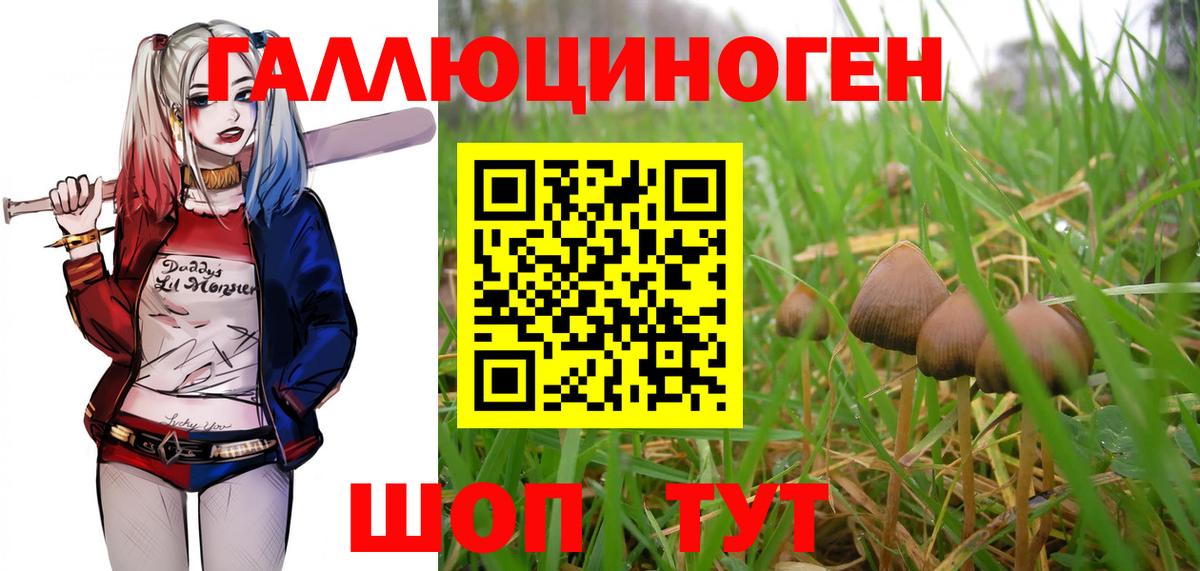 Галлюциногенные грибы MAGIC MUSHROOMS Кушва